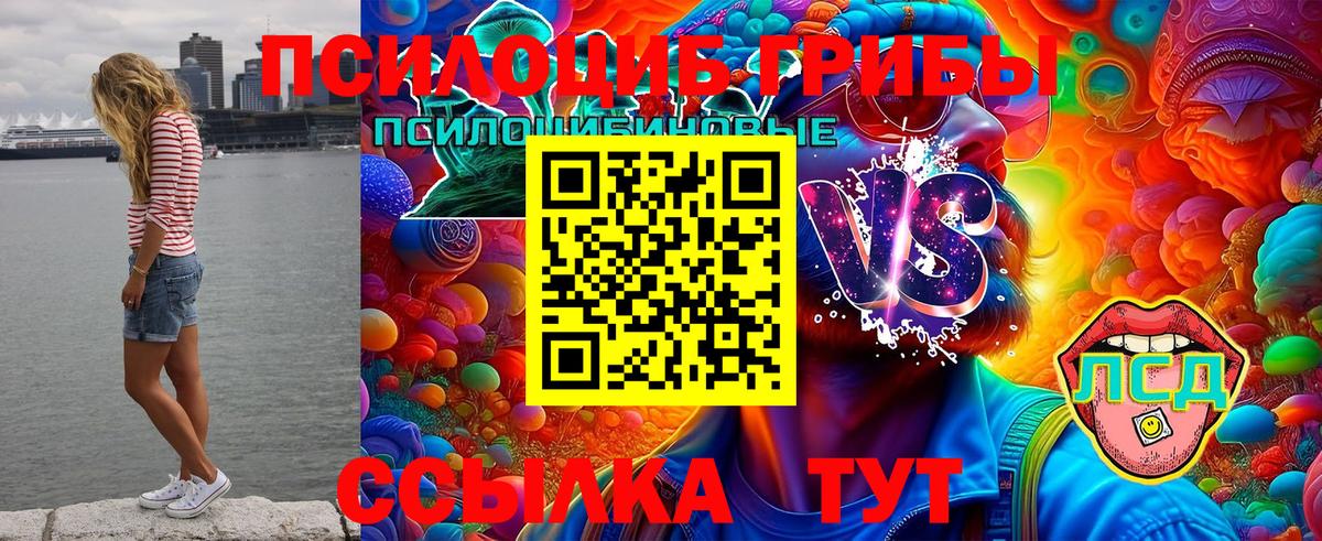Елабуга  Галлюциногенные грибы Cubensis  Вход с VPN  Псилоцибиновые грибы MAGIC MUSHROOMS 